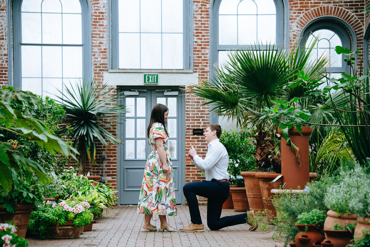 mo-bot-garden-surprise-proposal-1