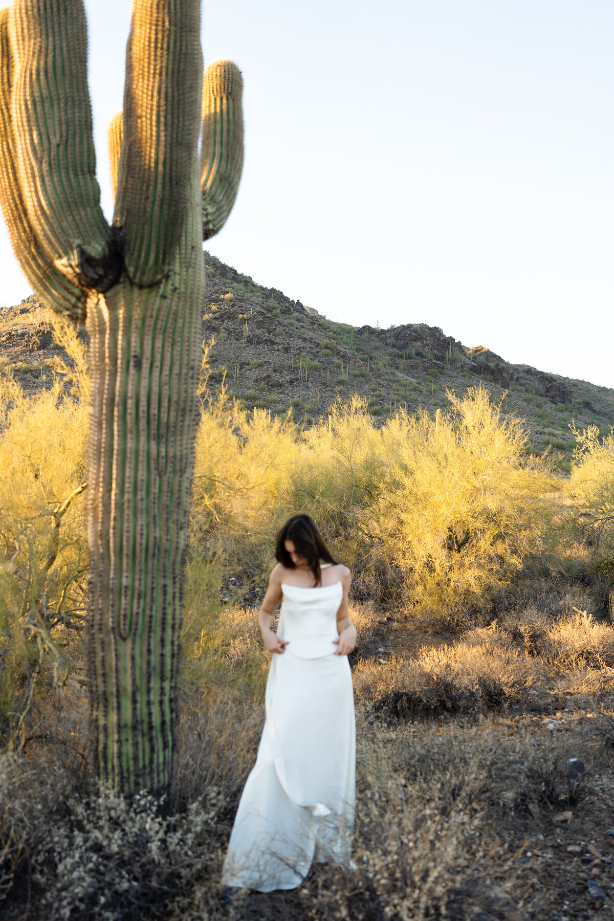 arizona-68