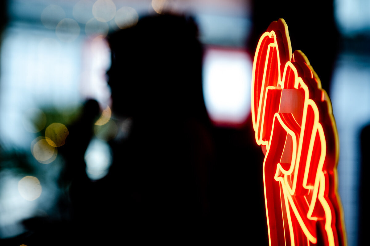 a bollywood dancer on a wall with a flying gull in the background