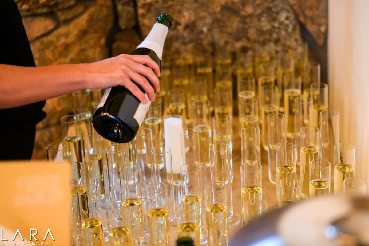 champagne-toast-corporate-wipa-event