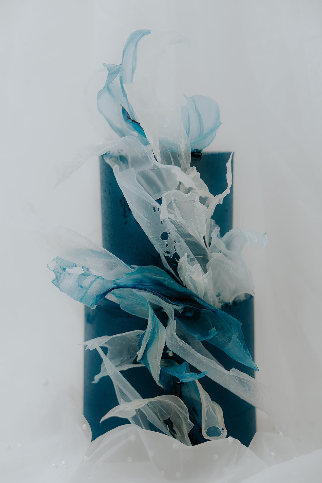 0G9A7951_websize