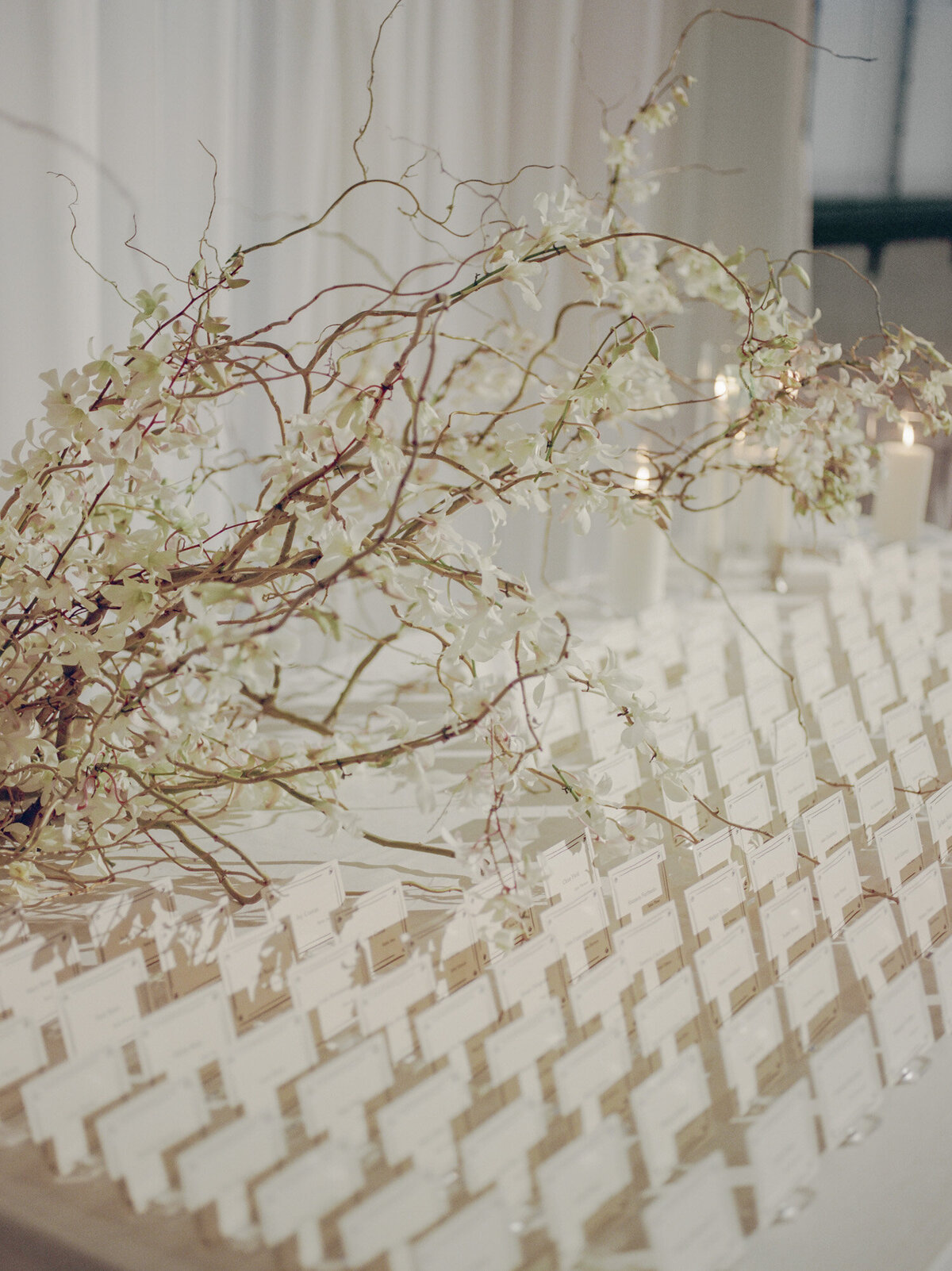 white orchids lovingly wrapped around curly willow branches make for a stunning escort card floral installation at State Savings Bank, Detroit
