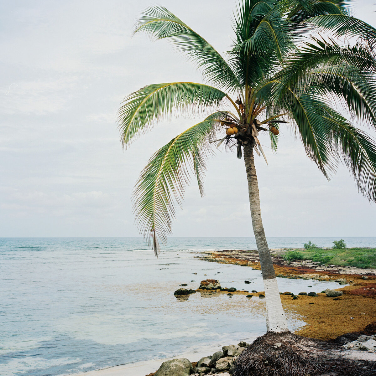Philip-Casey-Photograpyhy-Tulum-Wedding-Film-Photography005
