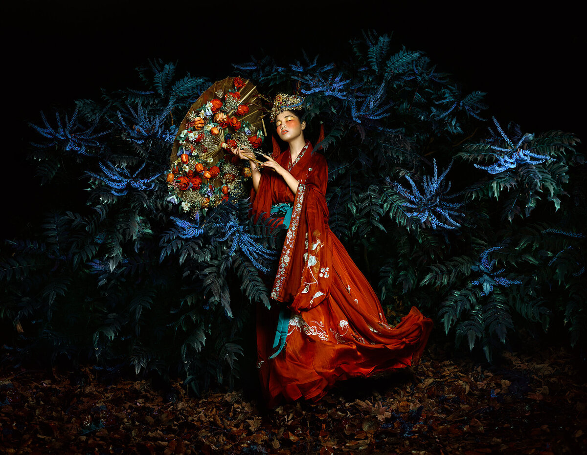 Memories of a Distant Land by Bella Kotak