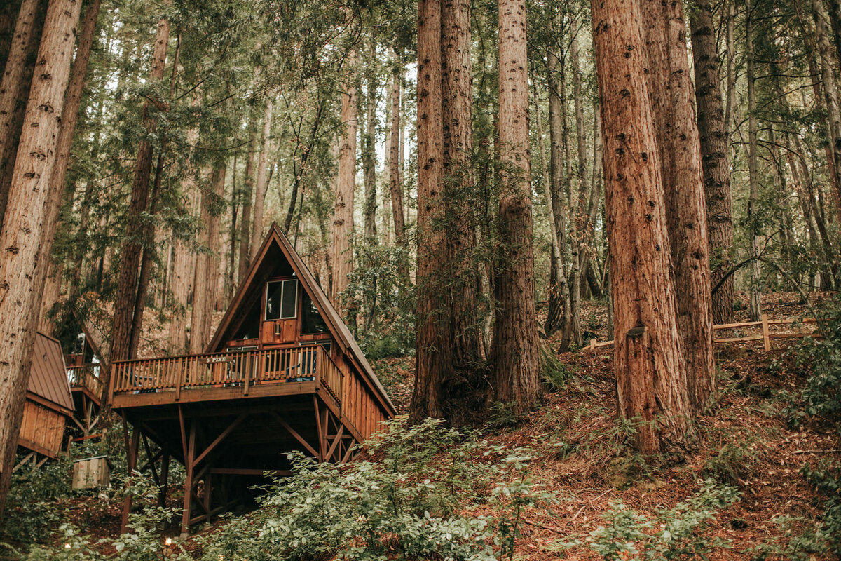 Wedding venue in a redwood forest