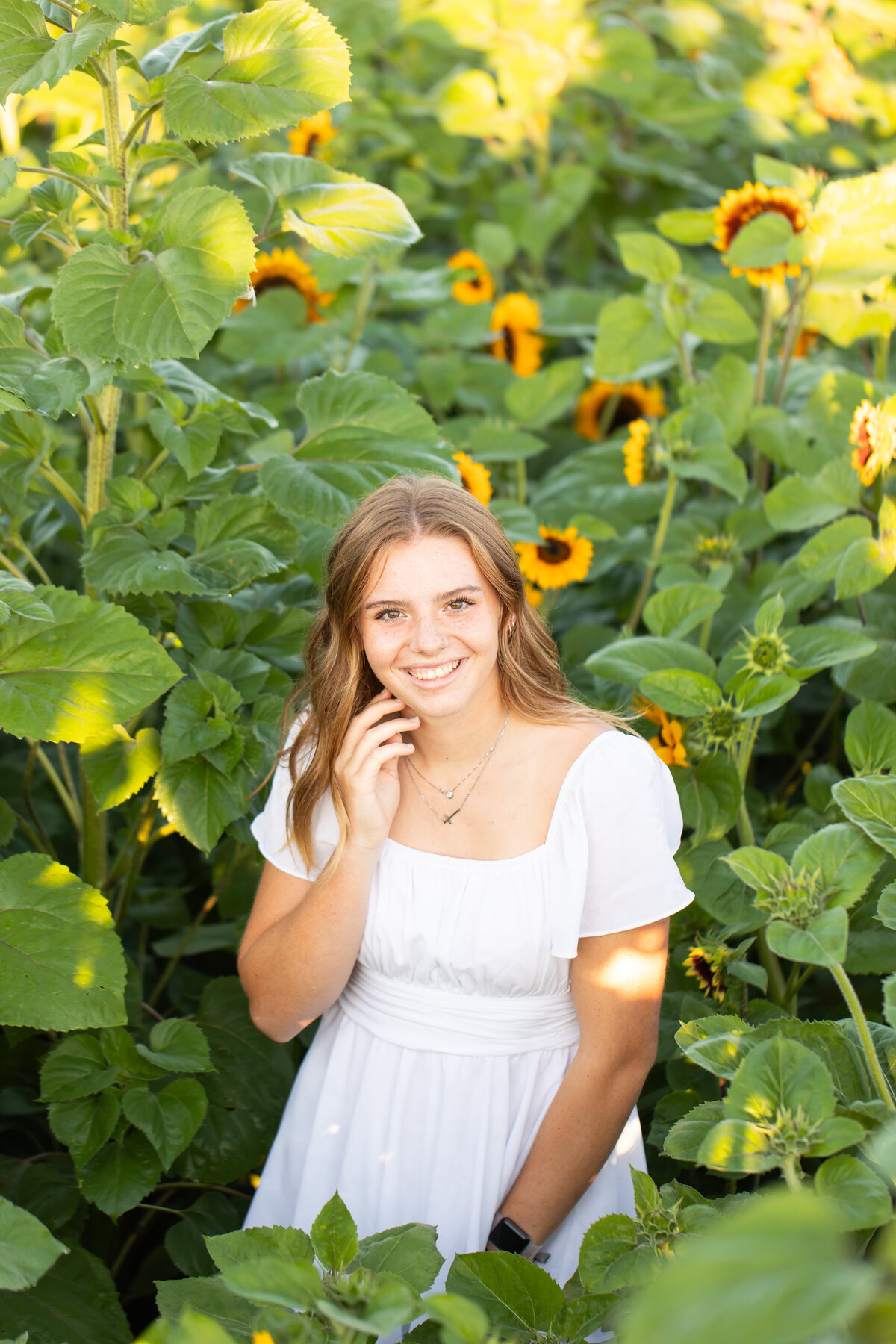 Addison sunflower shoot _0008