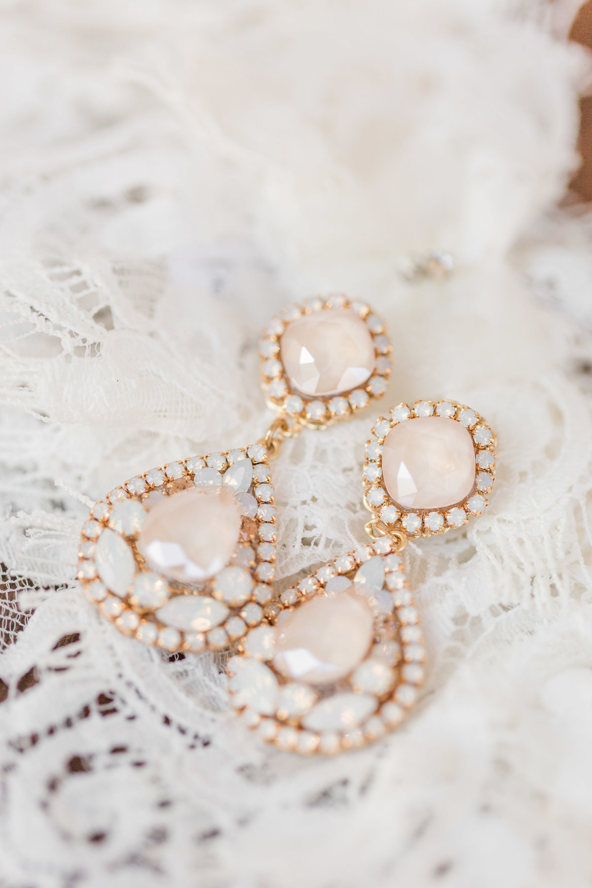 Memphis Wedding Photographer Botanic Garden_009