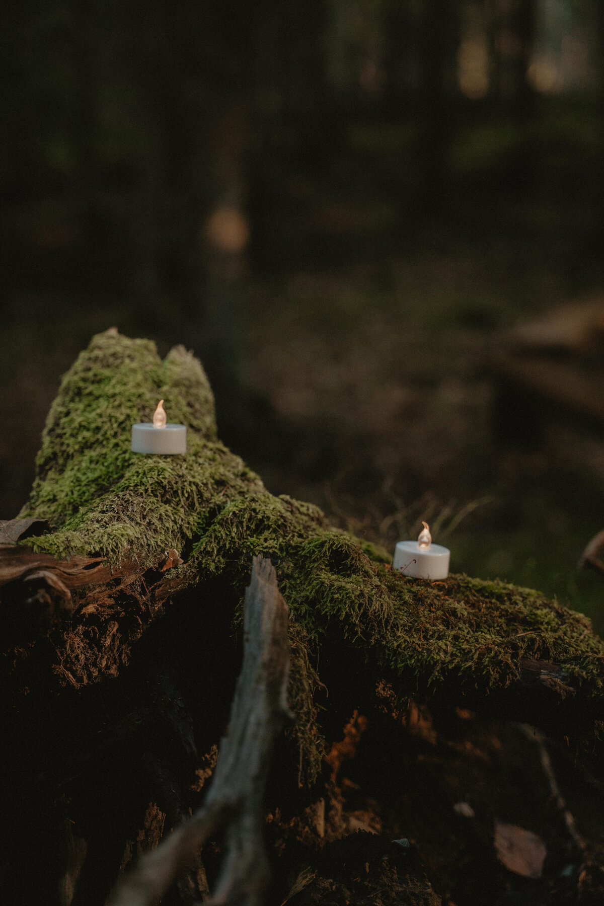 ElinJoakim-12okt2024-264