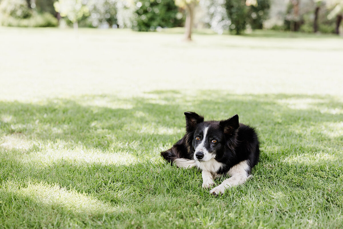 Nicki and Ryley - 10.03.2025 - JessicaCarrollPhotographer-23_websize