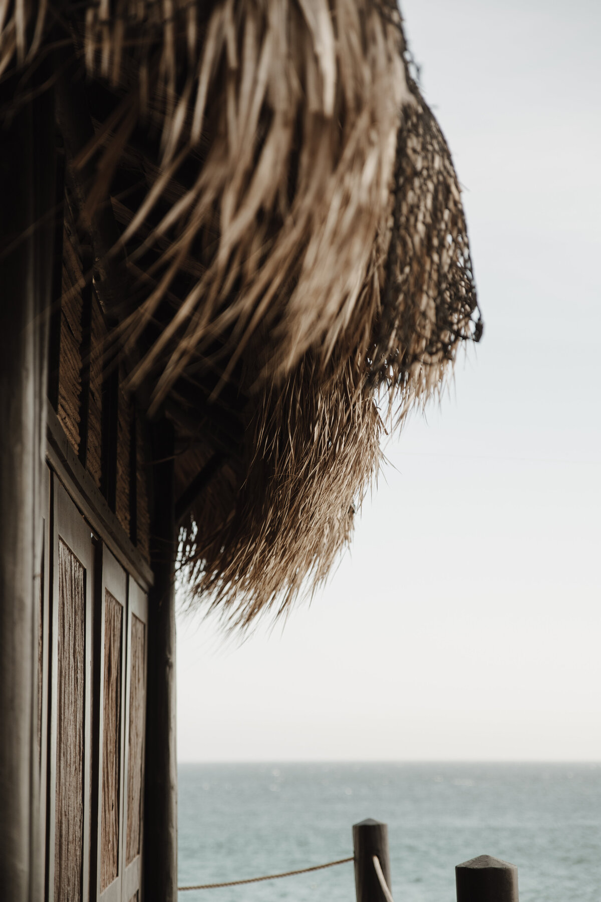 MountainTimePhotography-1153