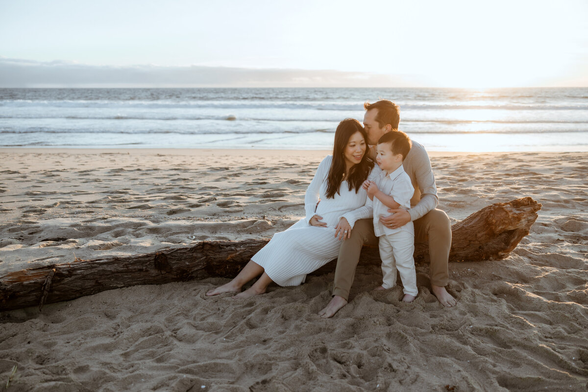 la family photographer 50
