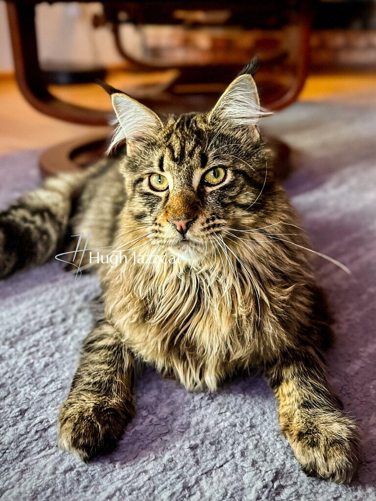 26E89189-0F07-438B-BB8F-04D35C917342_1_105_c