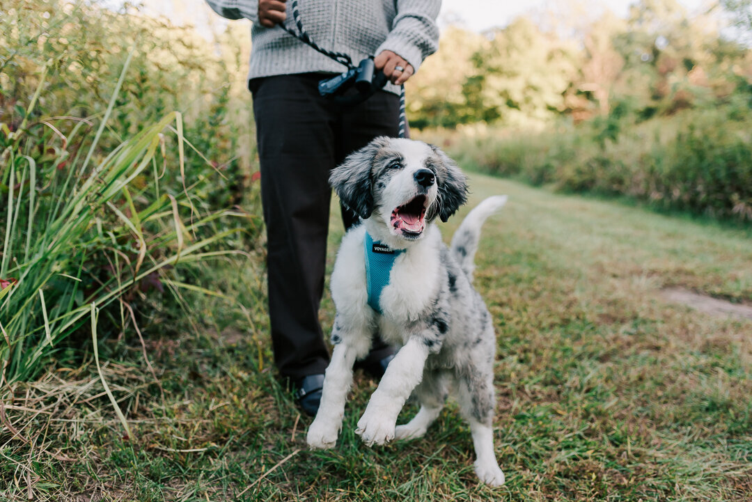DVP-Northern-Virginia-Family-Photographer-36-2