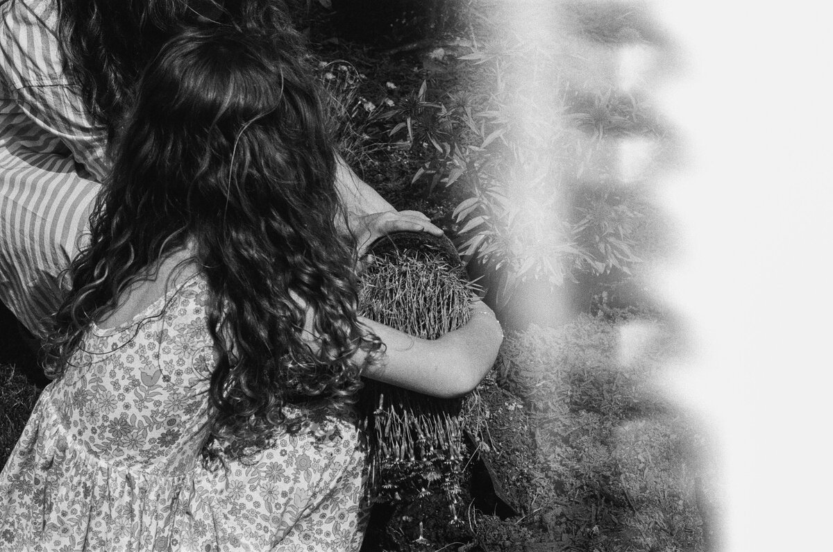 ilford_hp5_plus_04_23_2025_000223160035