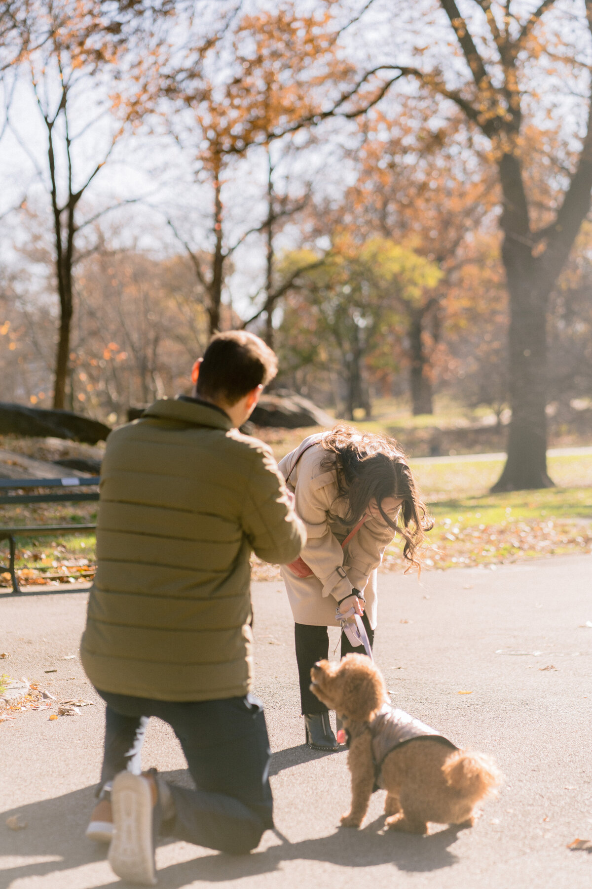 Ledah+RyanProposalFinalEditsFrancescaLeePhotographyBrooklynWeddingPhotographer-7