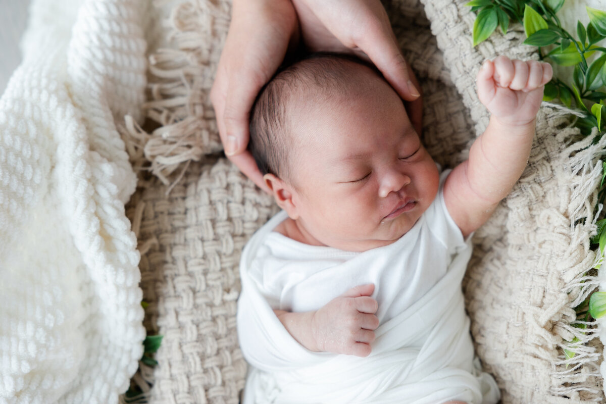 Chloe's Lifestyle Newborn-66