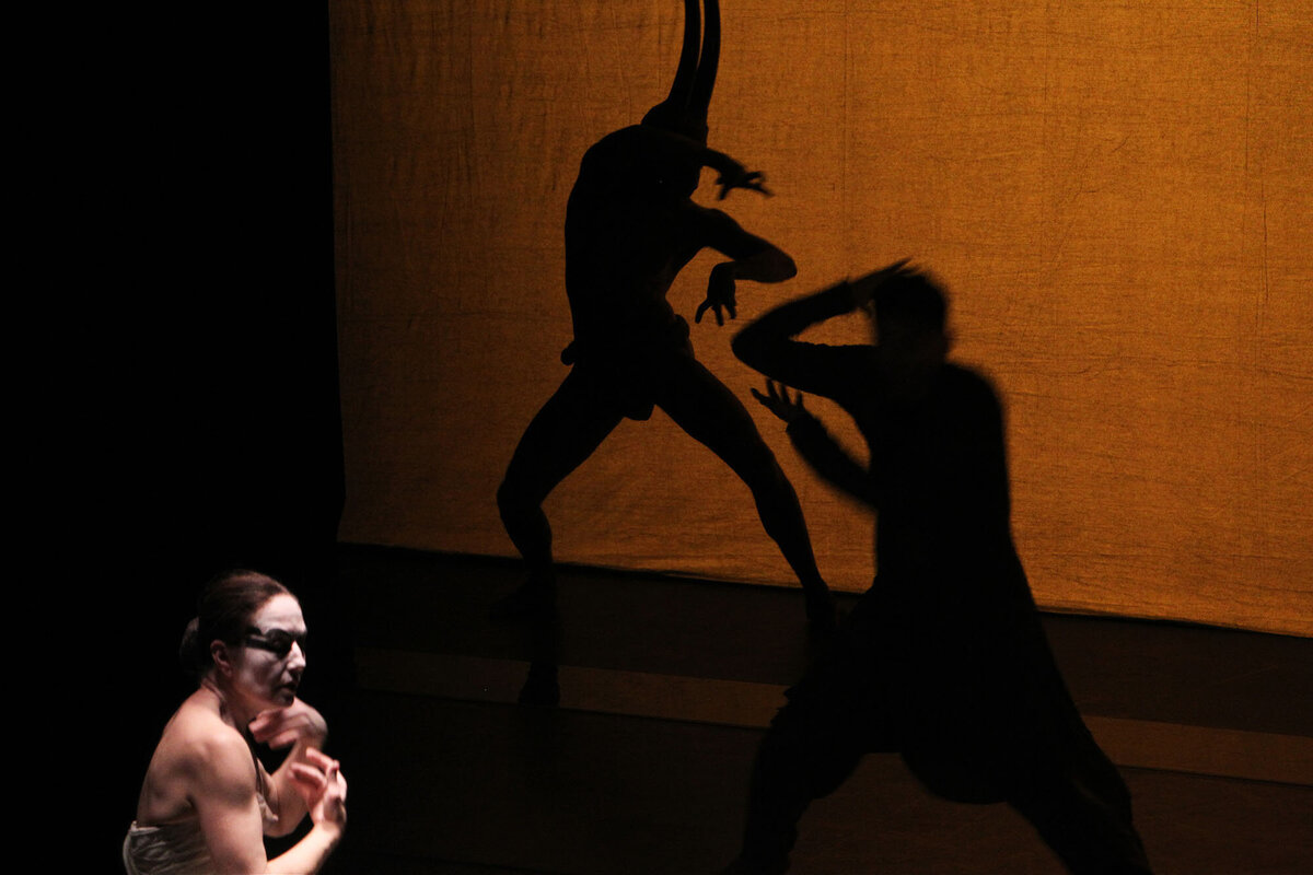 Bart Van der Moeren - Dans - 034 - Akram Khan