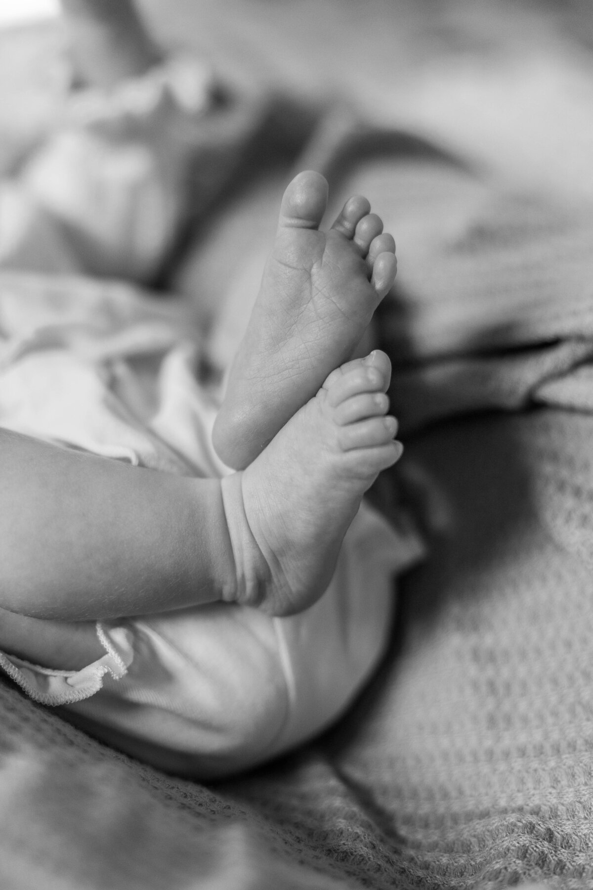 Xanders Newborn - Elizabeth George Photography8103