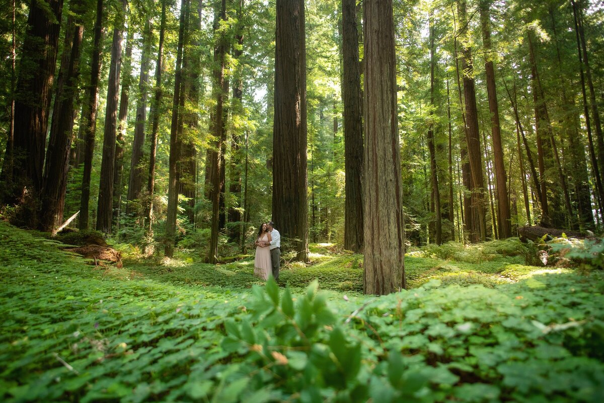 Engagement-Photographer-Avenue of the giants-redwoodsHumboldt-County-romantic-redwoods-elopement-Humboldt-redwoods_0149