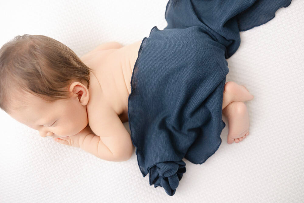 Posed newborn on stomach with a dark blue blanket covering his back.