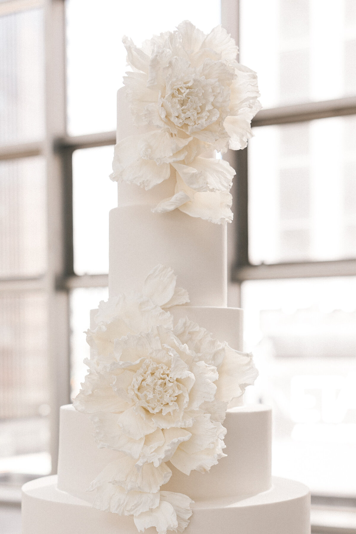 Monochromatic-Luxury-Wedding-Photography-Wintergarden-Pittsburgh-8635