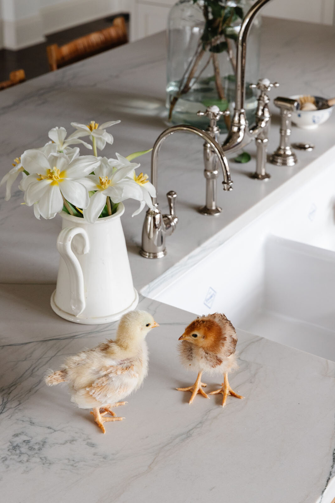Portfolio-Derby House-Interiors-Wayne-Illinois-Derby Kitchen