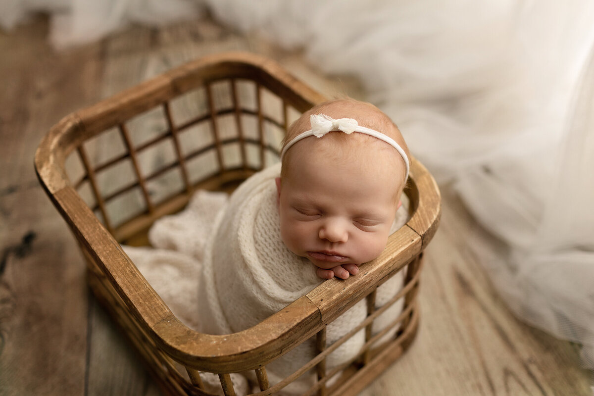 newborn photos of baby girl in a prop in timnath newborn studio