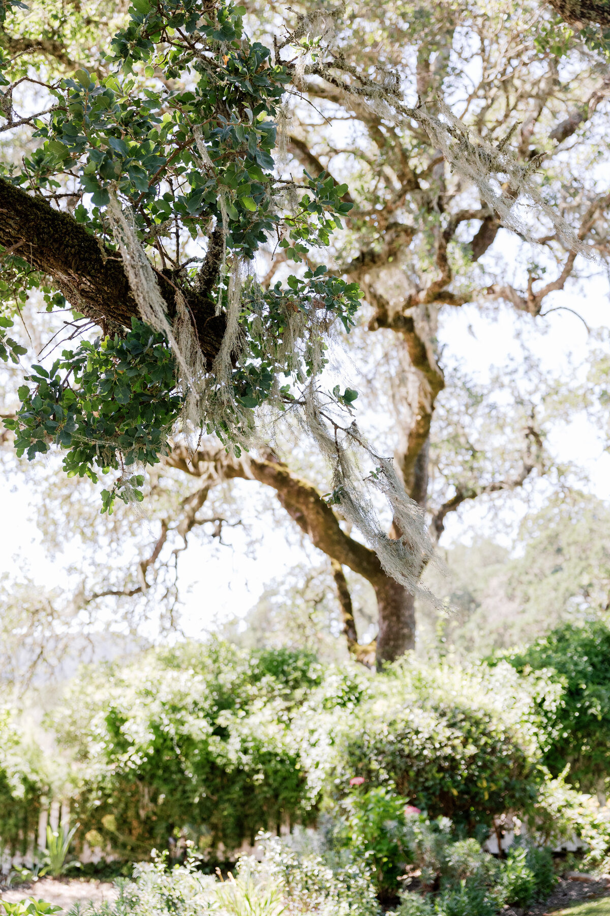 NatalieMax-Wedding-crystalkphotos-270