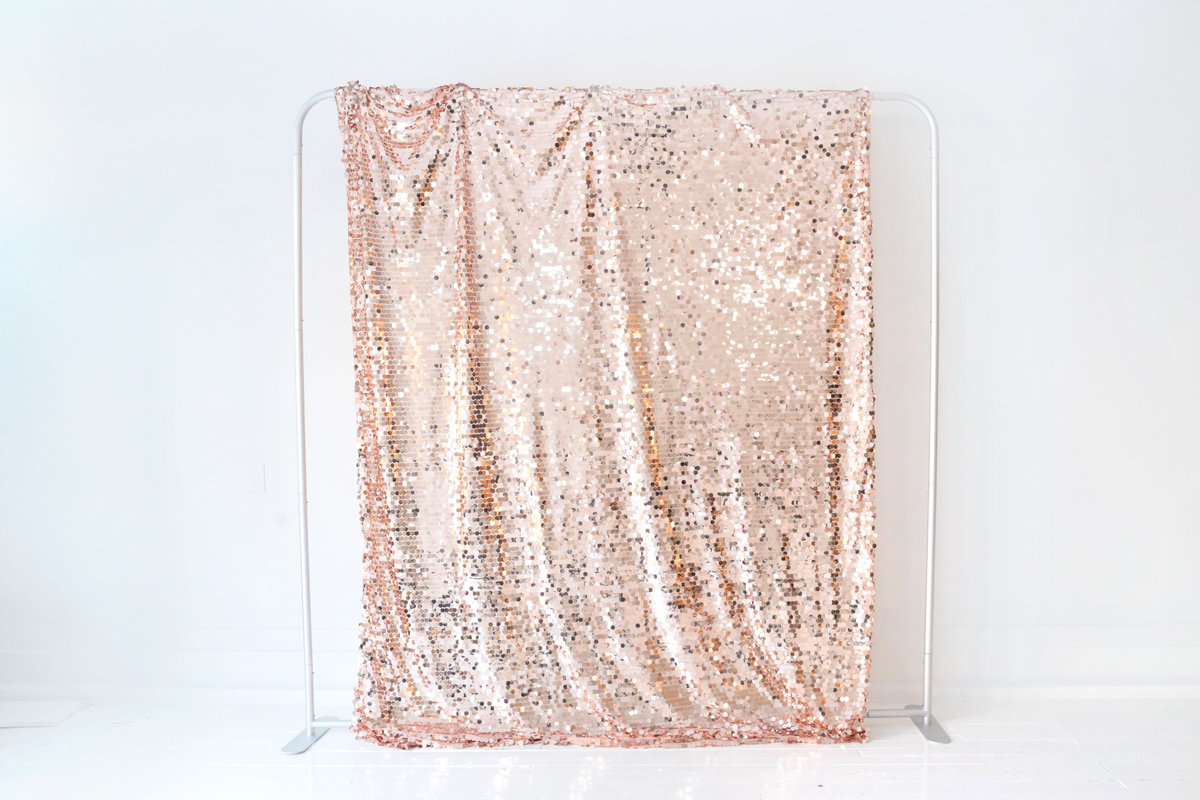 Blush-Sequin-Backdrop-BananaWho