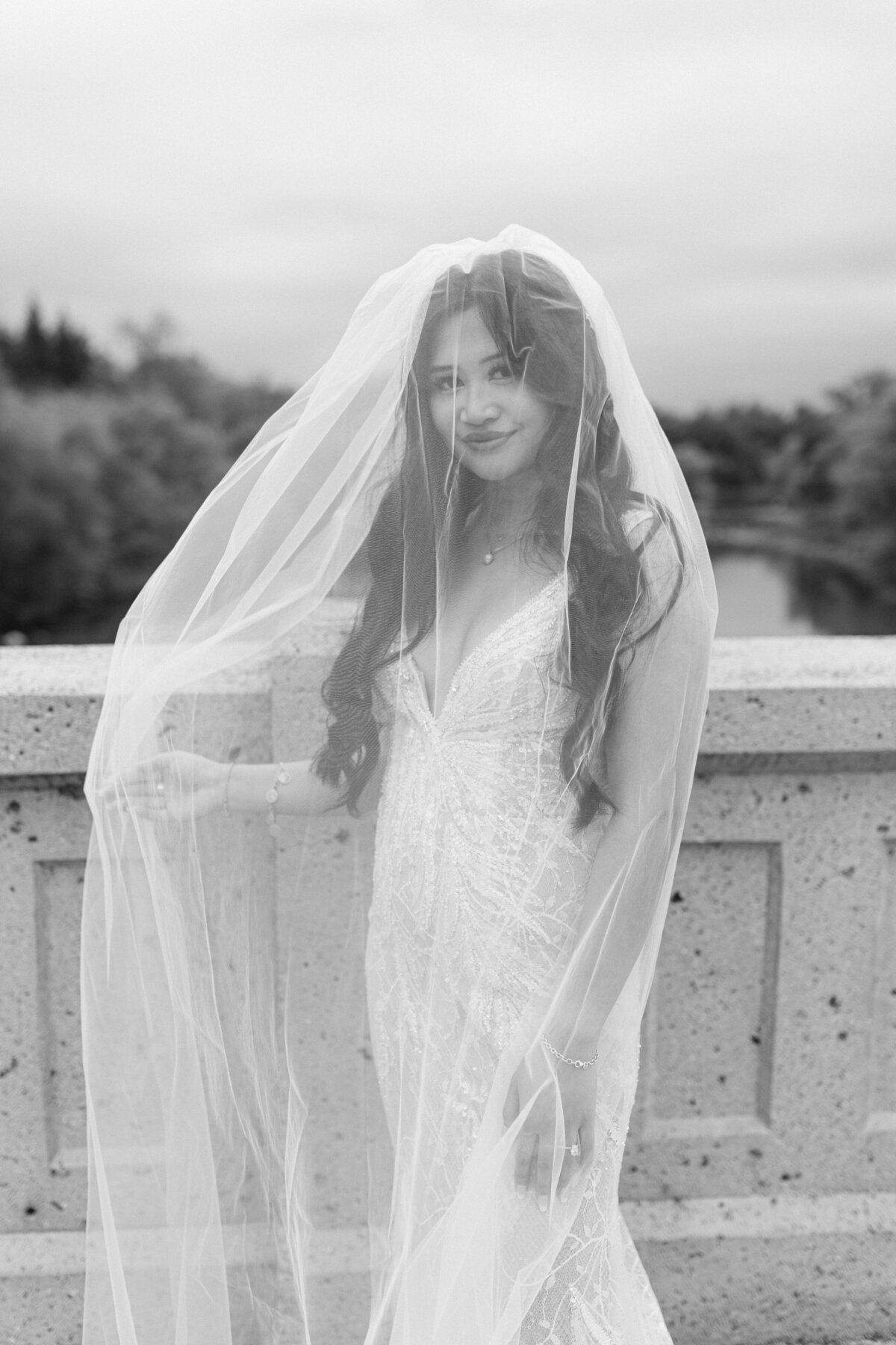 Bridal-Portraits-Veil-234