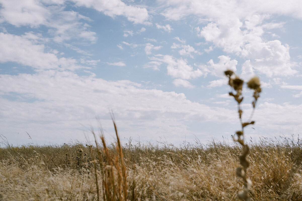 oklahoma-blue-sky-with-field
