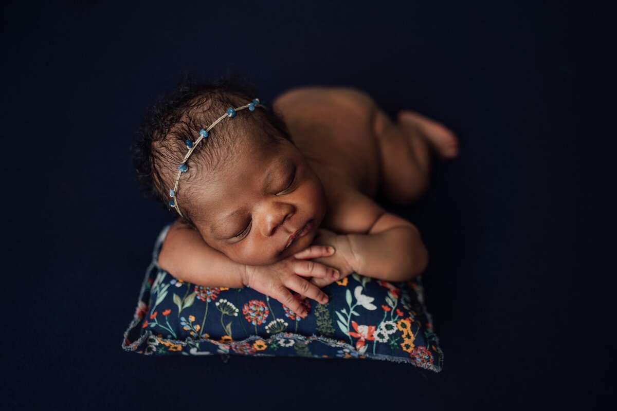 newborn girl on navy during photography session in tampa studio