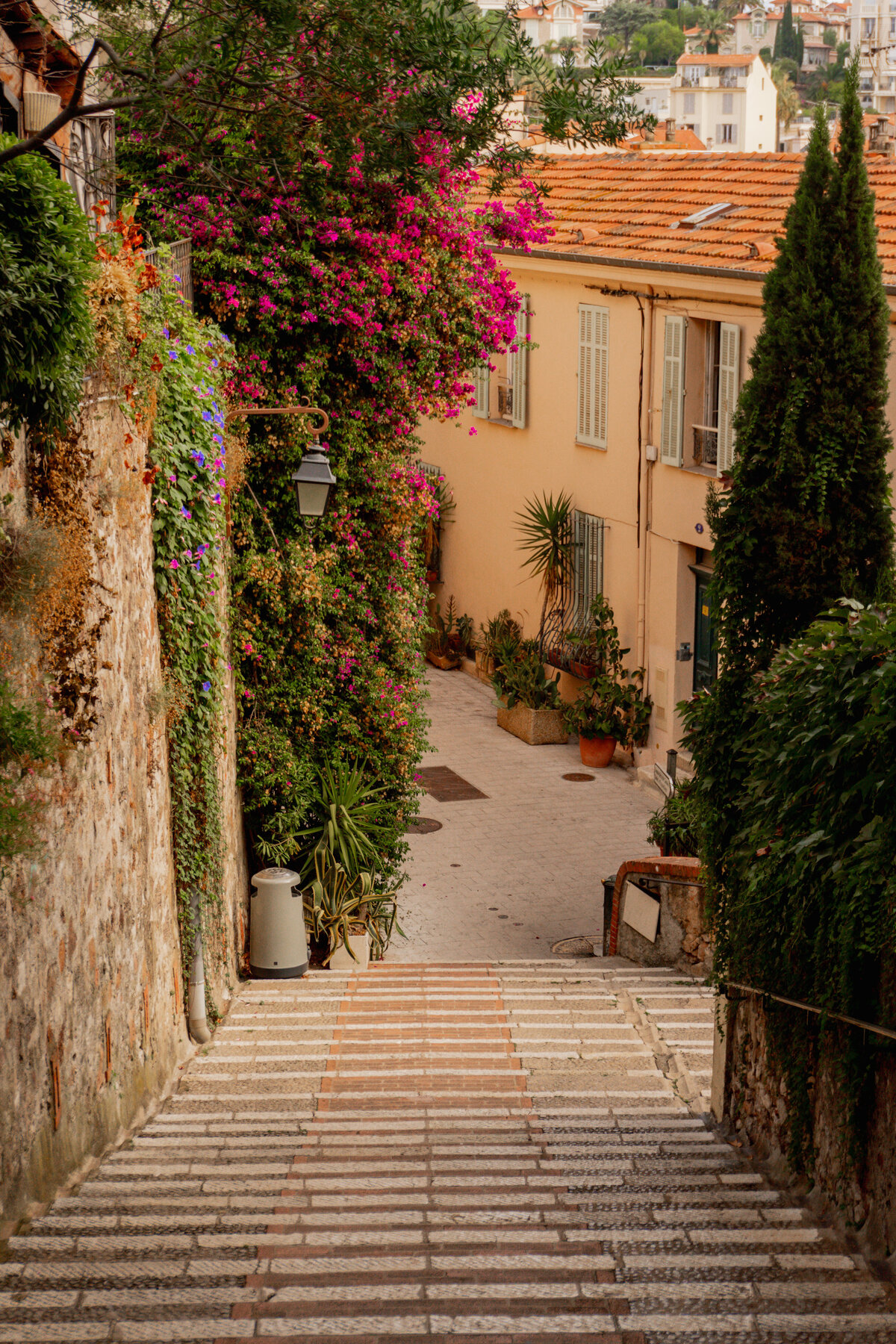 Cannes-53
