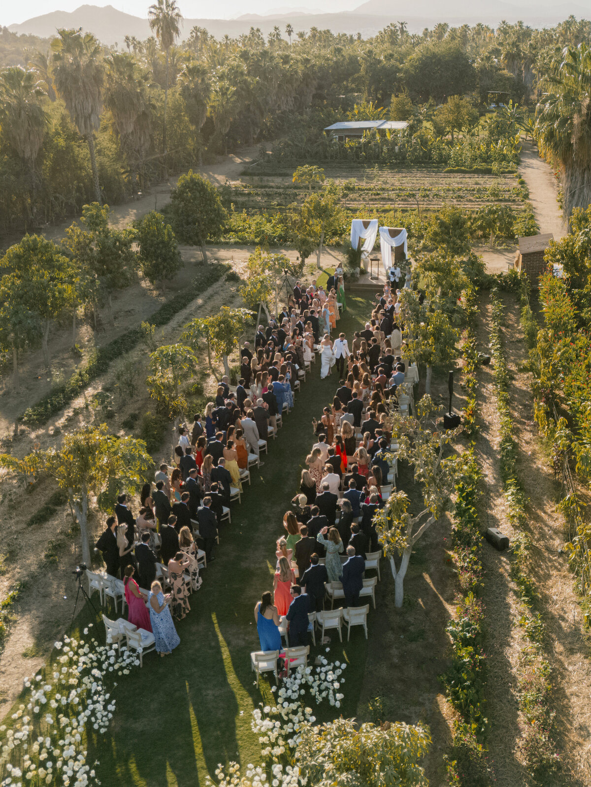 71 Flora Farms Wedding Photography