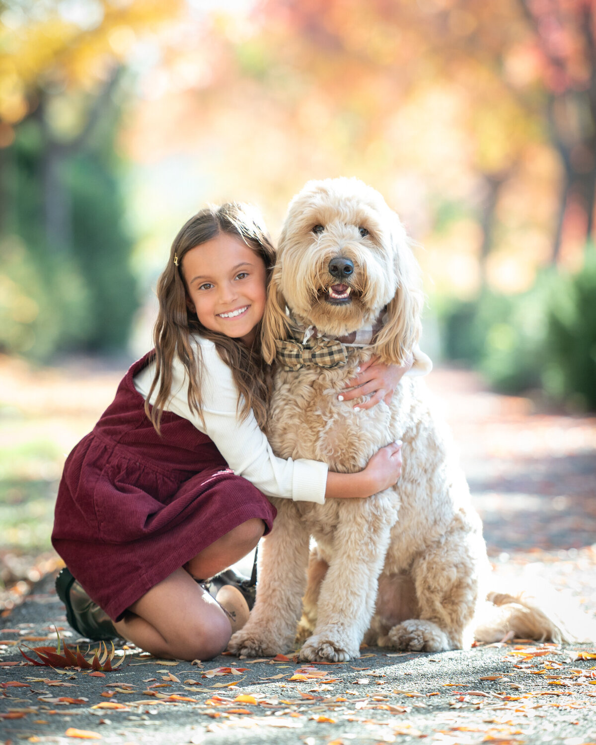 pet-photography-Doodle-El-Dorado-Hills