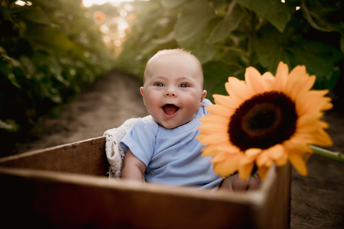 kristeenmarie-photo-sunflower-3032