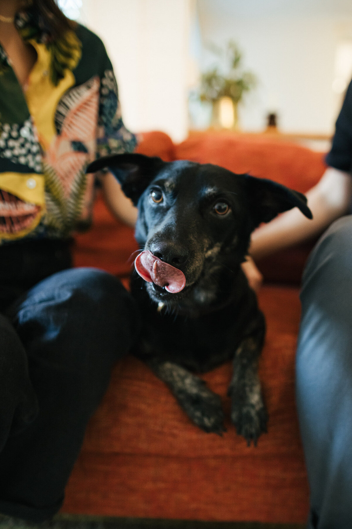 Gainesville-Engagement-Portraits-At-Home-Puppy-18