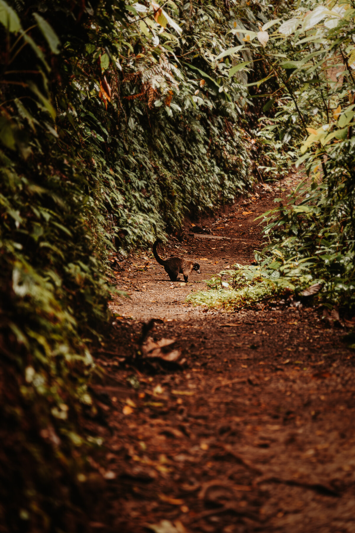 Costa Rica-7