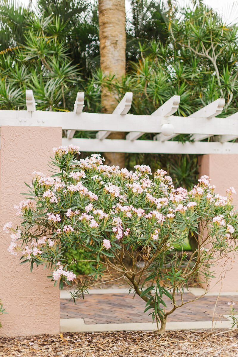 Wedding at The Vinoy in St. Petersburg- Florida147