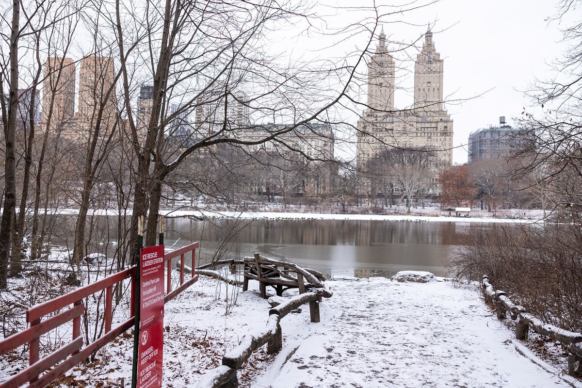 San-Remo-Central-Park-Proposal-in-snow-2