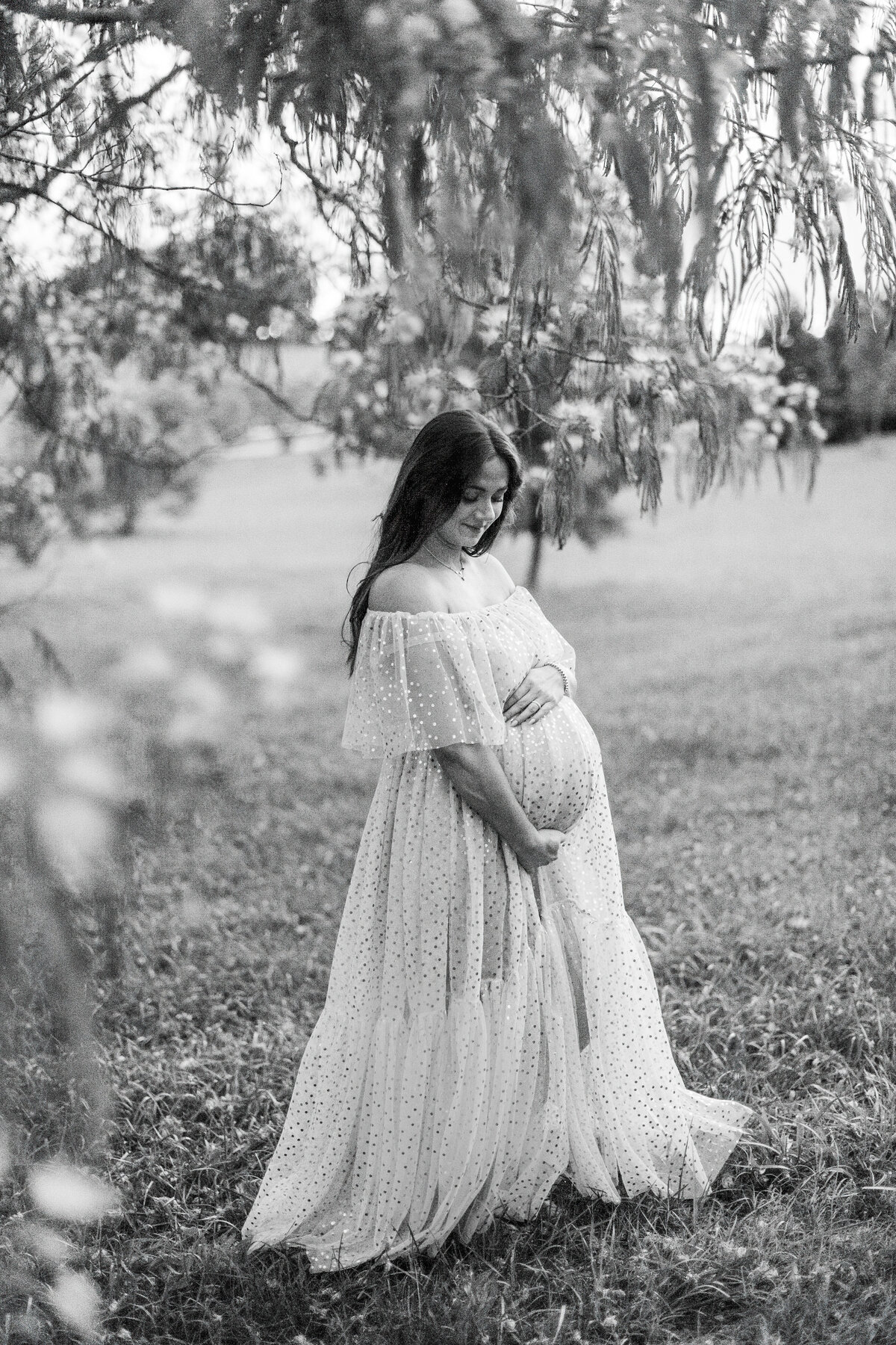 Greenville Maternity Photographer Lauren-24