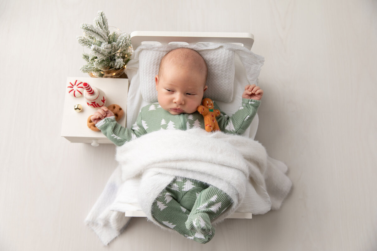 Christmas newborn portraits