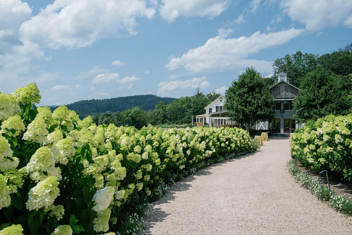 charlottesville-conference-wedding-events-industry-Pippin-Hill-fig-2-design-josh-and-dana-fernandez-photography-2