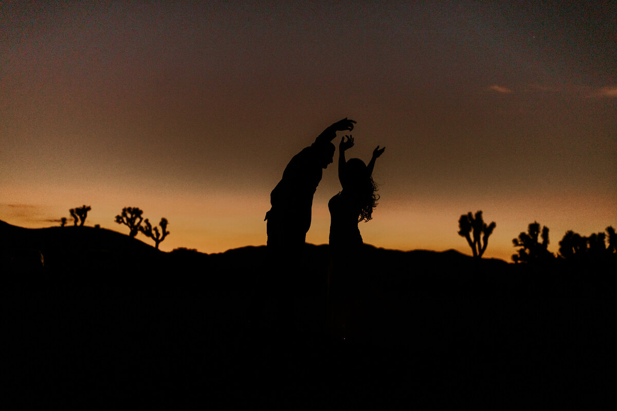 CR5_0974-2