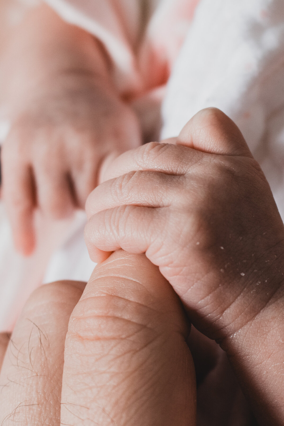 Close-up of a newborn's tiny hand grasping an adult's finger, highlighting the size contrast and delicate touch.