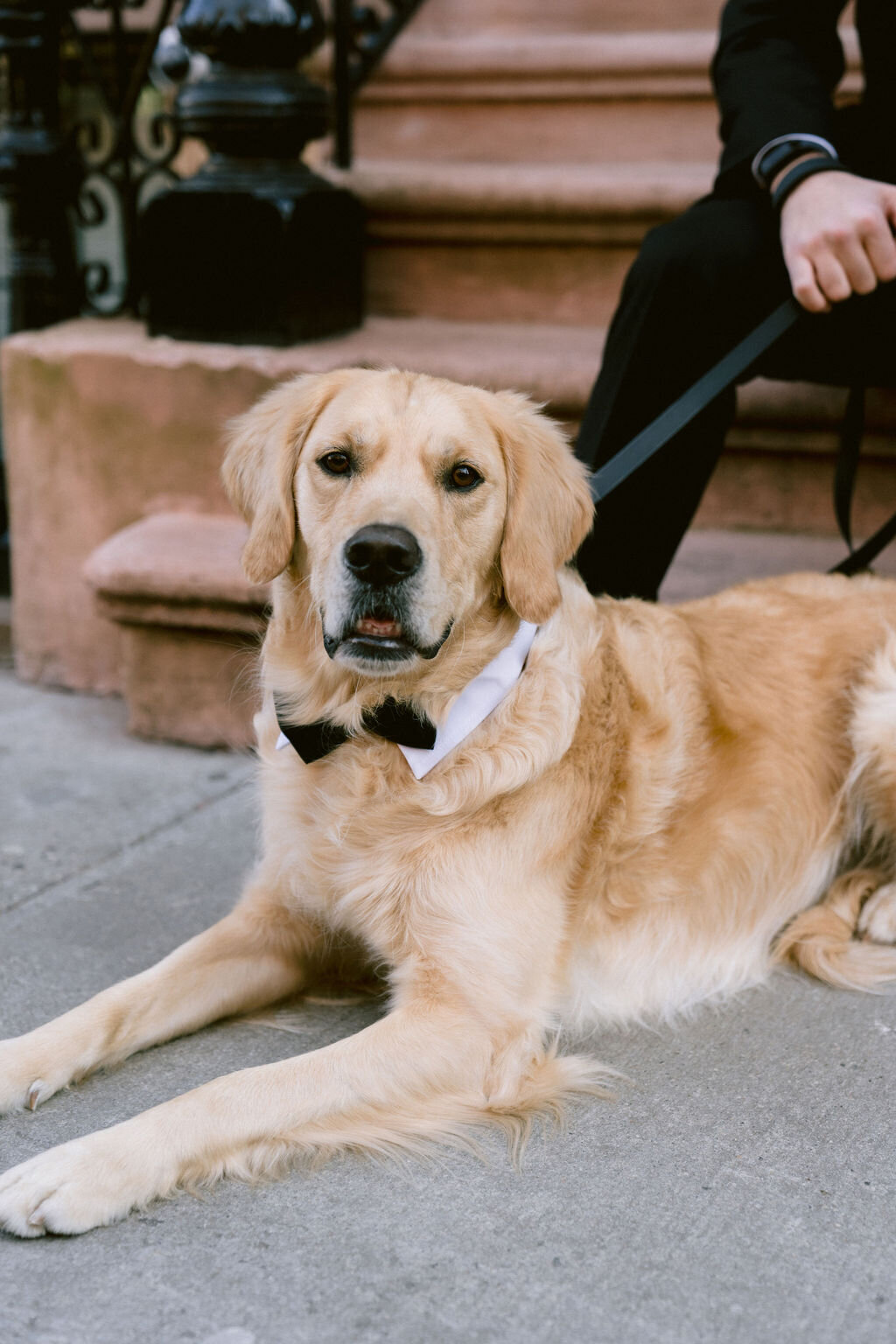 Clarissa+TylerWestVillageEngagementFinalGalleryFrancescaLeePhoto-4