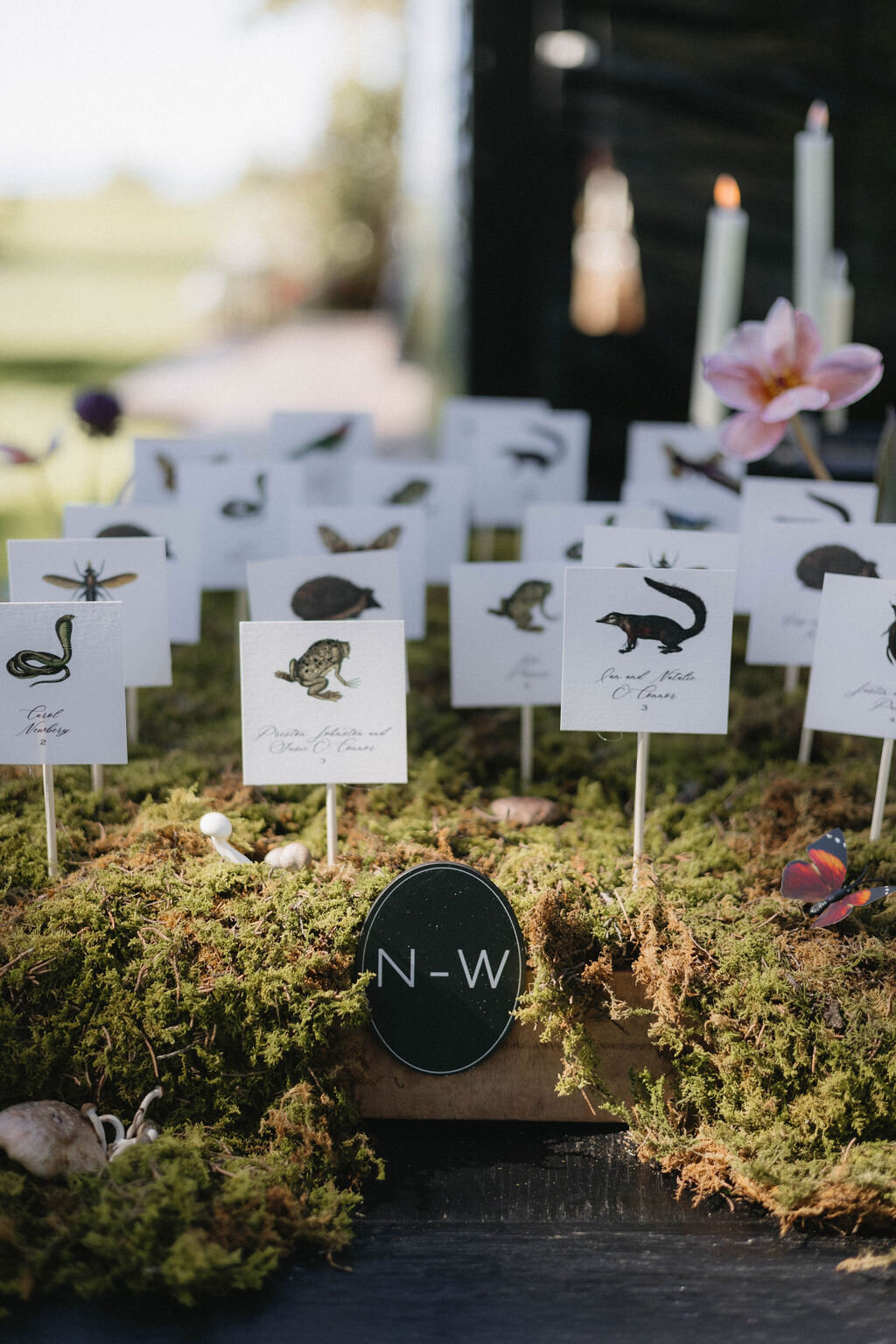 NicoleIvanovPhoto-207