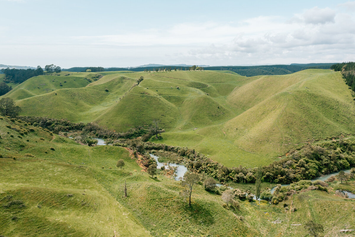 Forestry Fielday-0849