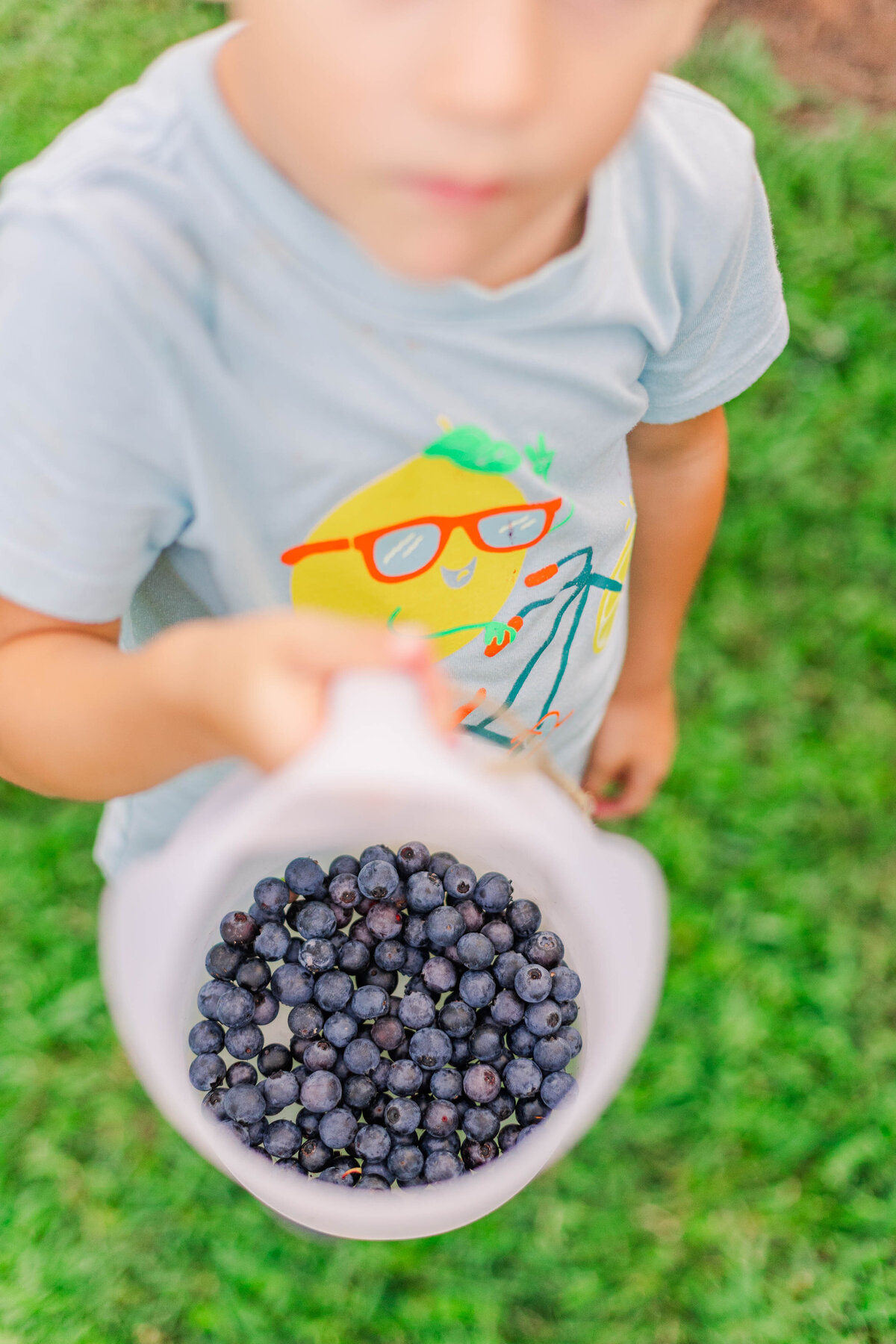 berrypickin-104