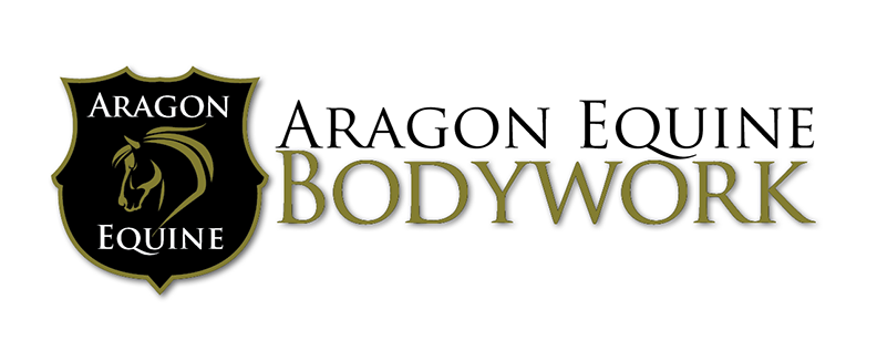 ARAGON-Logo-WithShadow
